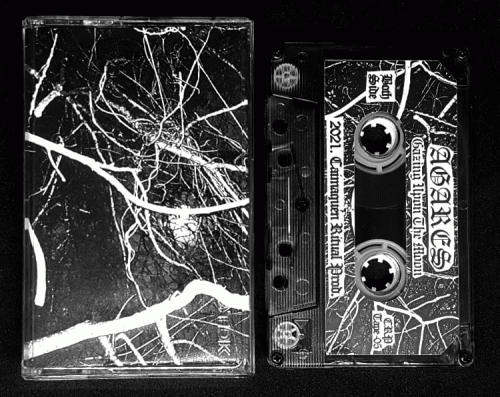 Gazing Upon the Moon